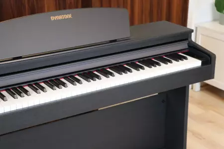 ویژگیpiano dynatone SLP 210